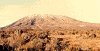 kilimanjaro.gif (38979 bytes)
