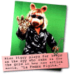 piggy_segment5.gif (26214 bytes)