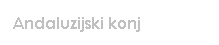 Text Box: Andaluzijski konj
